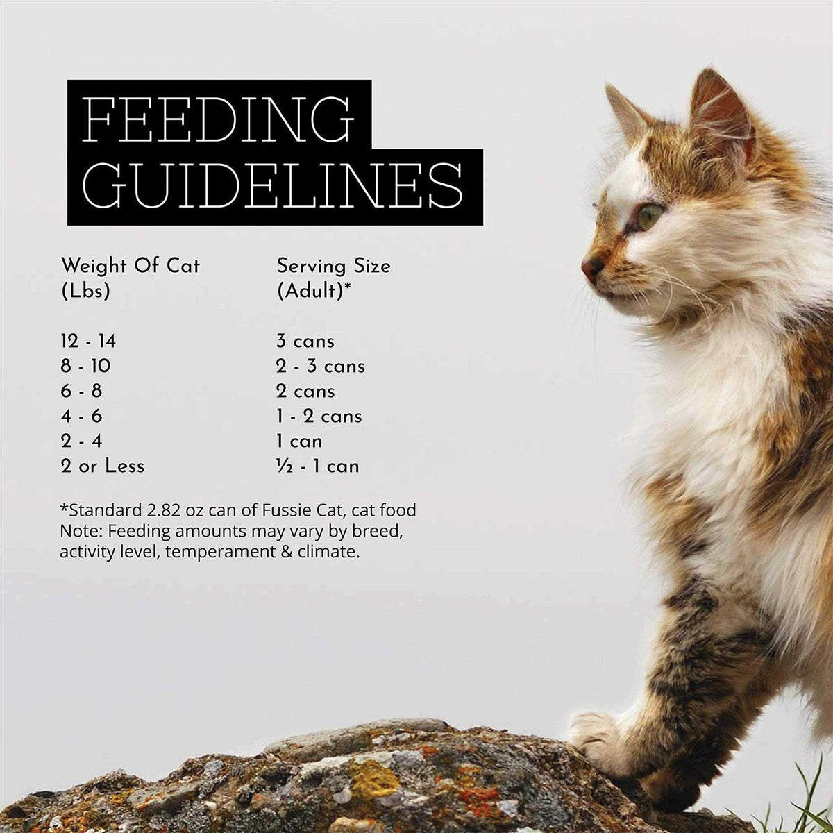 Chicken Gravy Cat Food W5382