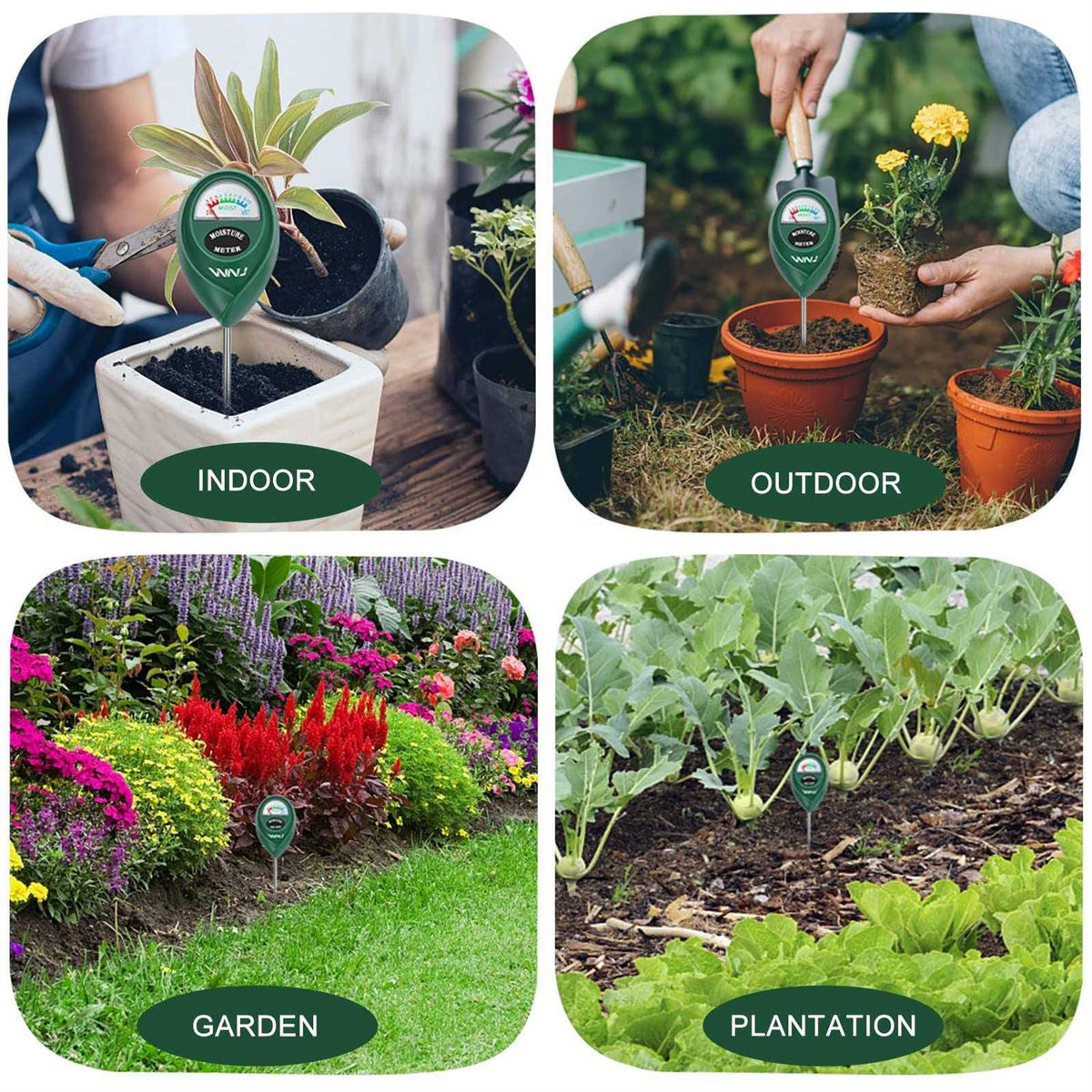 2 Pack Soil Moisture Meter H418268