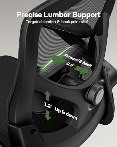 Ergonomic Mesh High Back Desk Chair with Headrest R8262