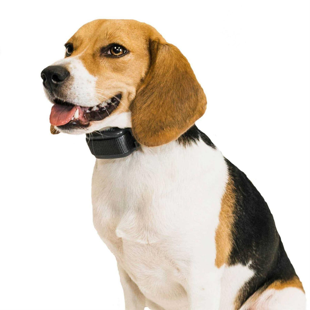 Pet Bark Collar M253150