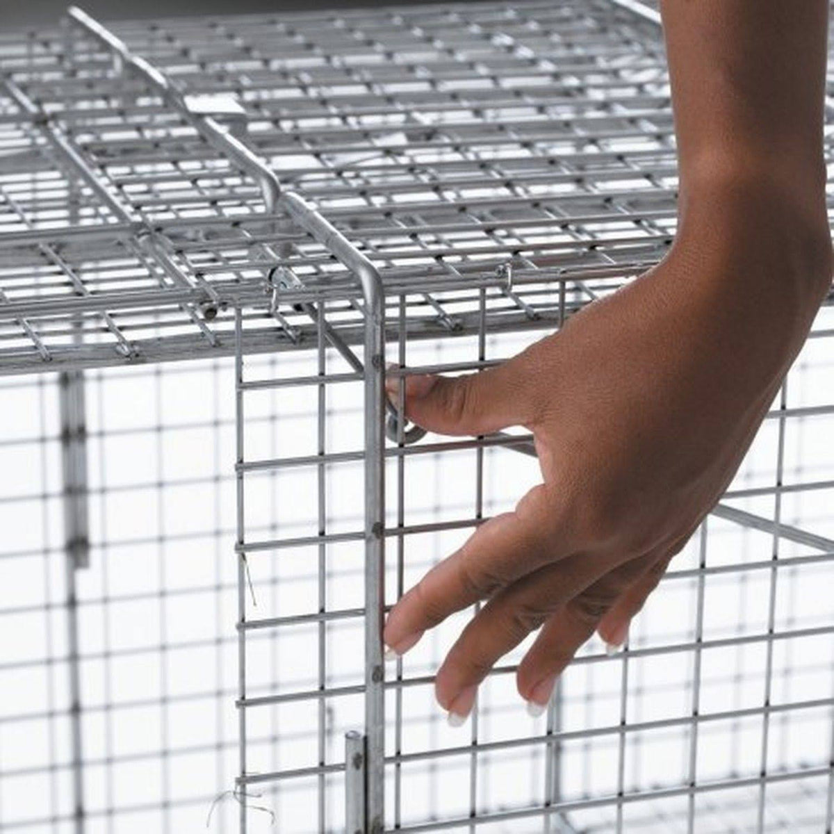 Large One-Door Cage Trap K16017
