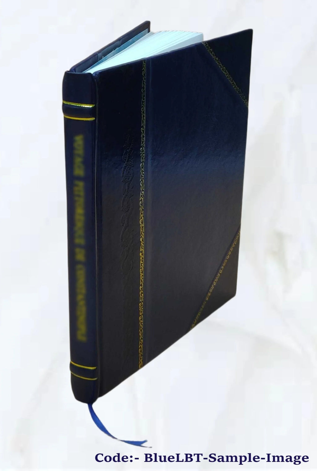Ferry-Boats and Slips in Metropolitan Bay Regions P162