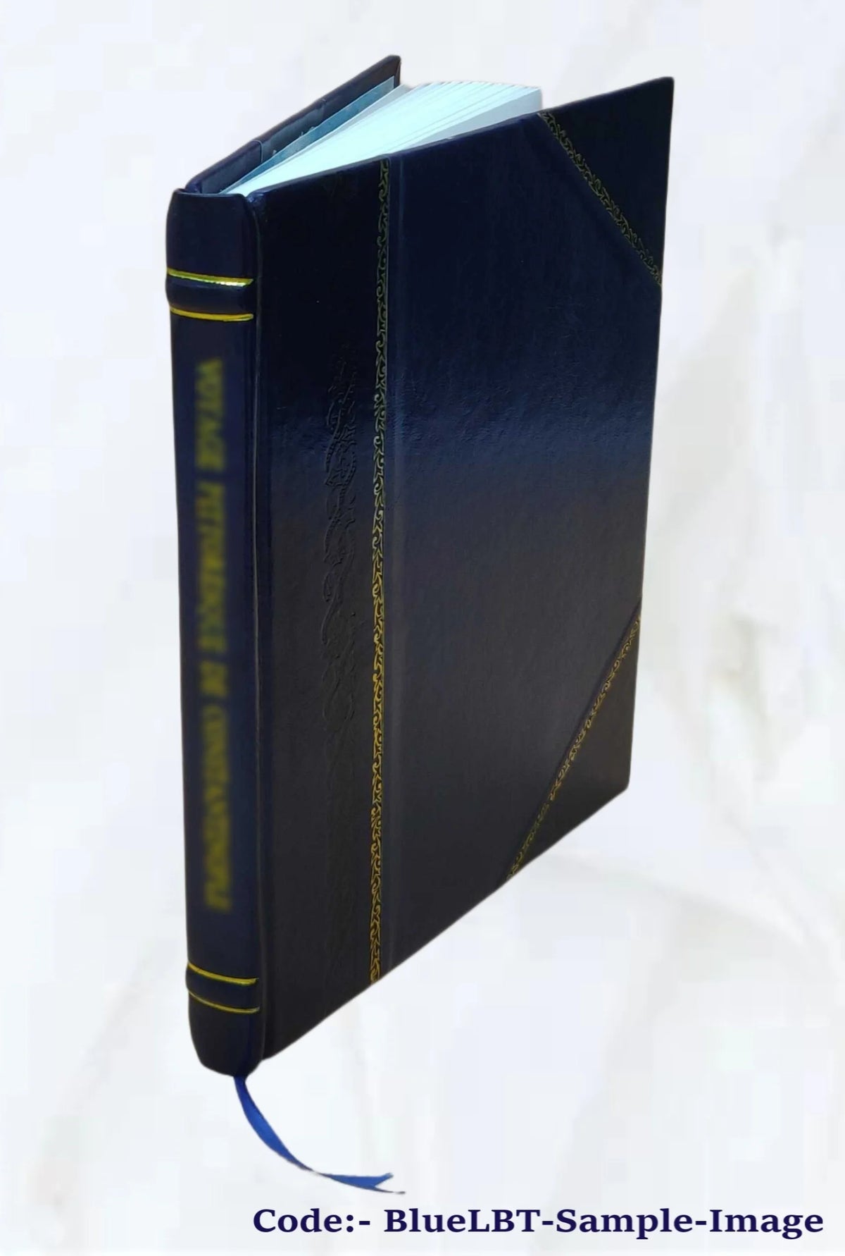 Ferry-Boats and Slips in Metropolitan Bay Regions P162