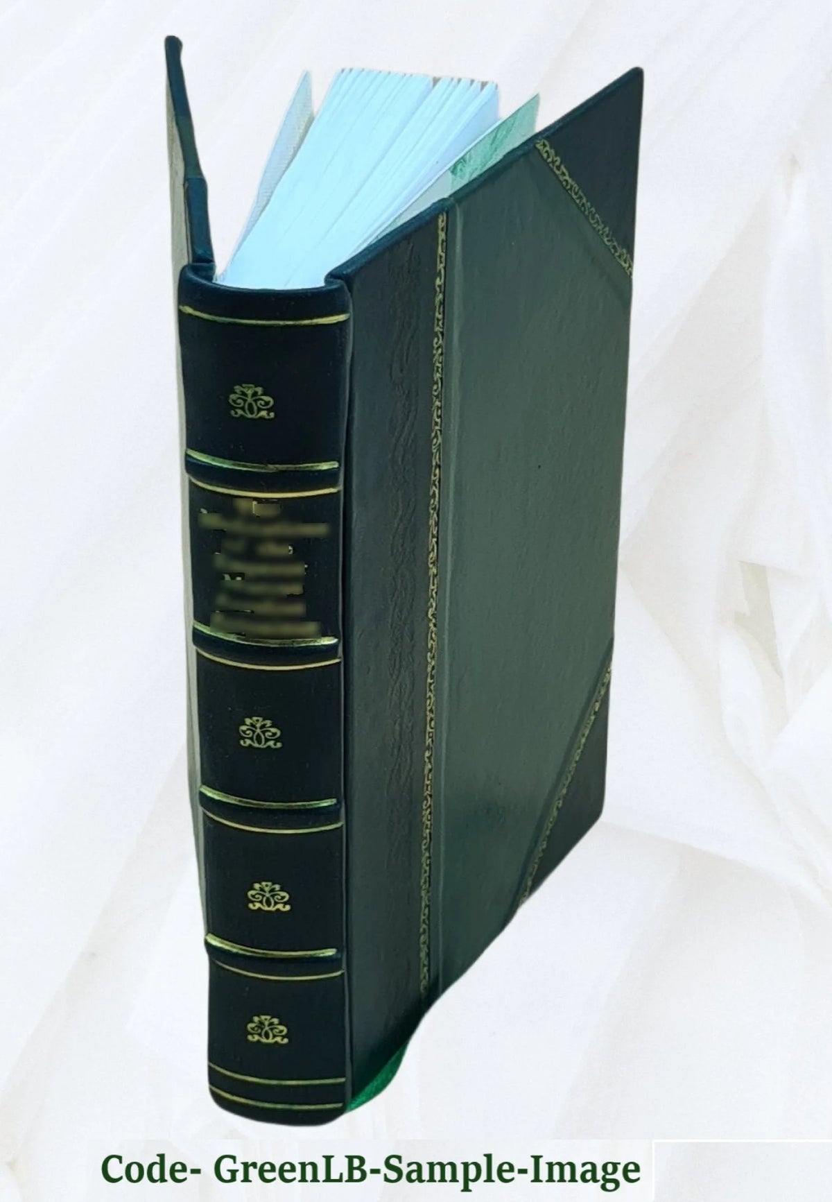 Woods and Lakes of Maine Trip from Moosehead Lake to New Brunswick in a Birch-Bark Canoe with Indian Place-Names and Their Meanings 1971 Leather Bound H2182