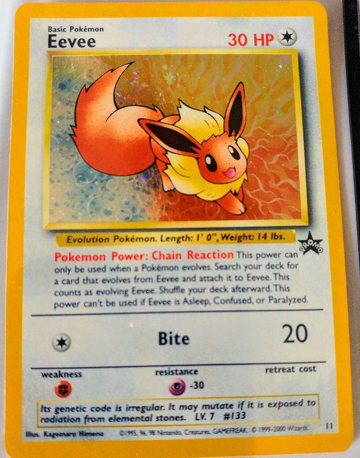 Eevee Holo Promo Card N7815