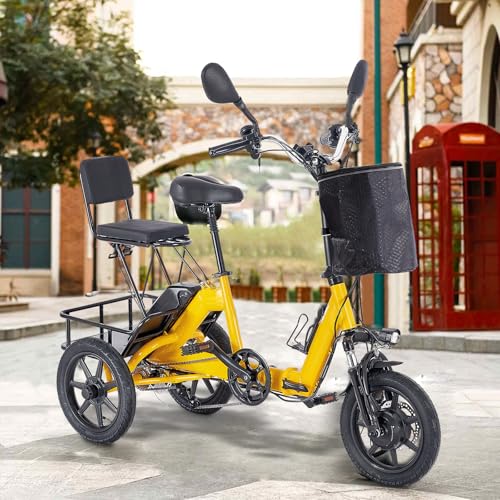 350W Folding Electric Tricycle with 480Wh Removable Battery and 2 Seats N632308