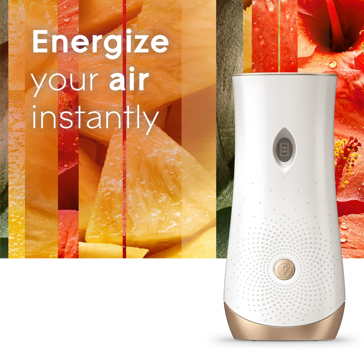 Hawaiian Breeze Air Freshener Starter Kit with Holder and Refill M3875