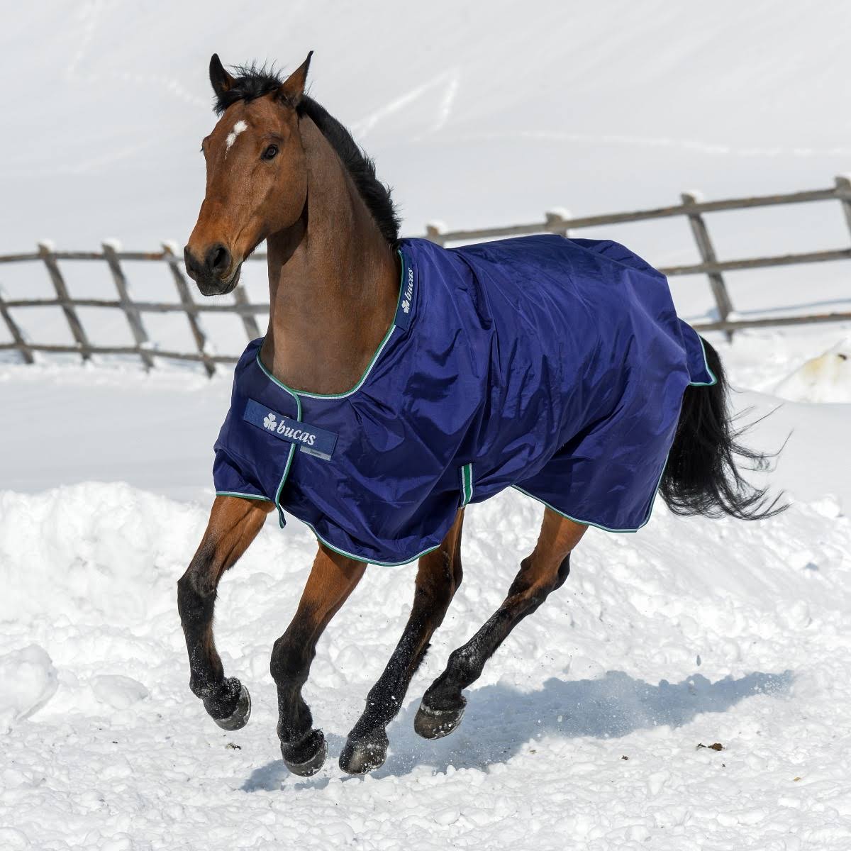 Smartex Medium Blue F269906