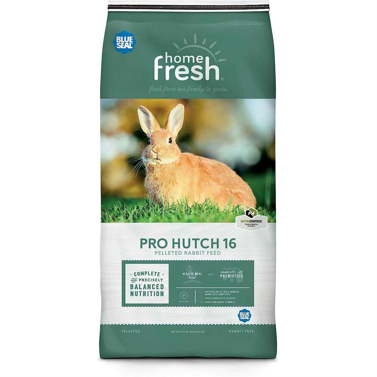Rabbit Hutch K659