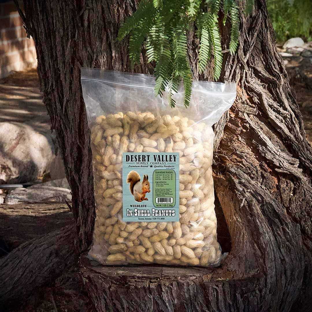 Peanuts in Shell X937