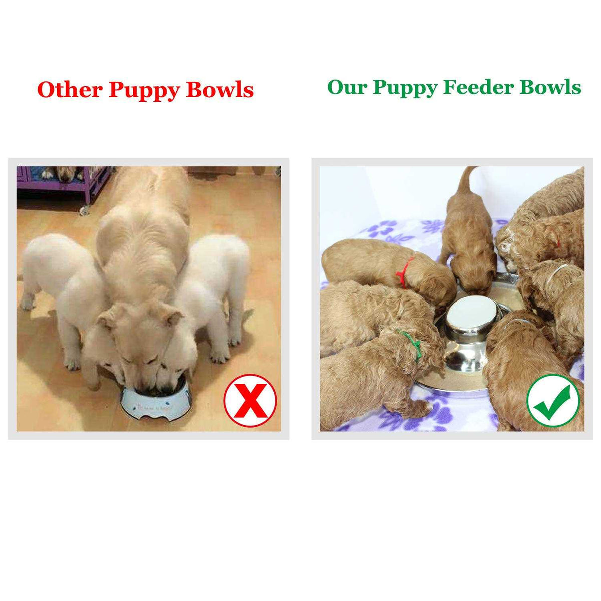 Stainless Steel Puppy Feeding Food and Water Bowls B76285