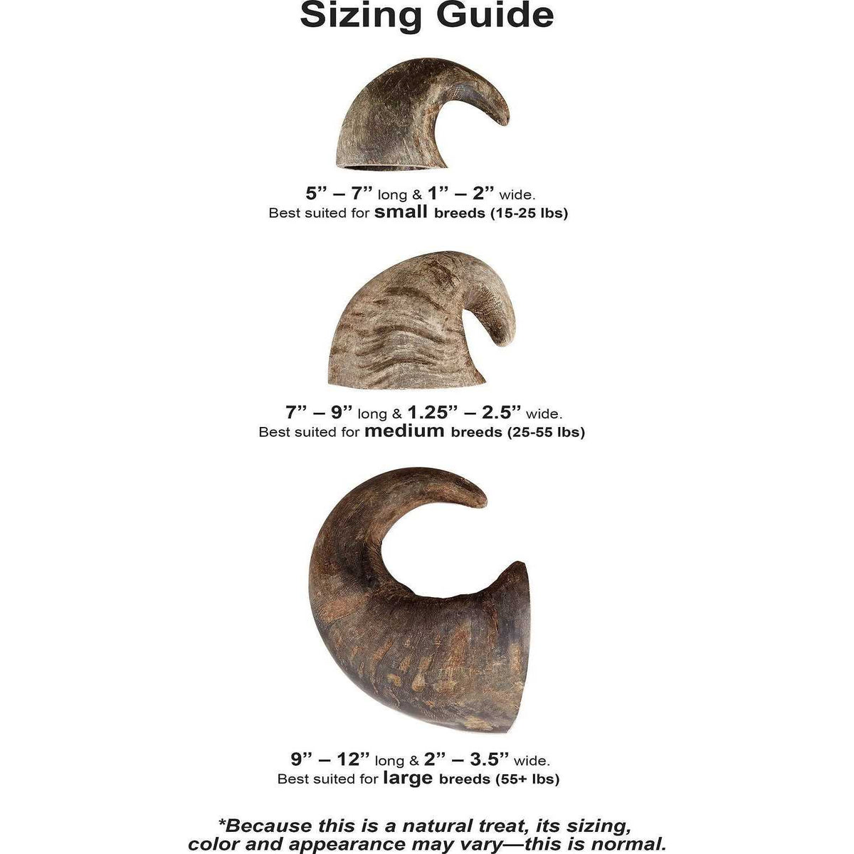 Dog Water Buffalo Horn Small Z3381
