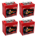 6V Deep Cycle Batteries - 4 Pack Y5893
