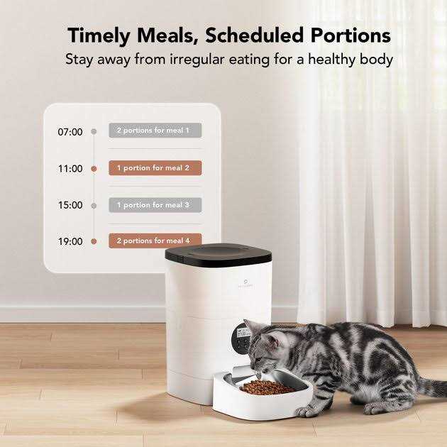 Automatic Dog & Cat Feeder F755782