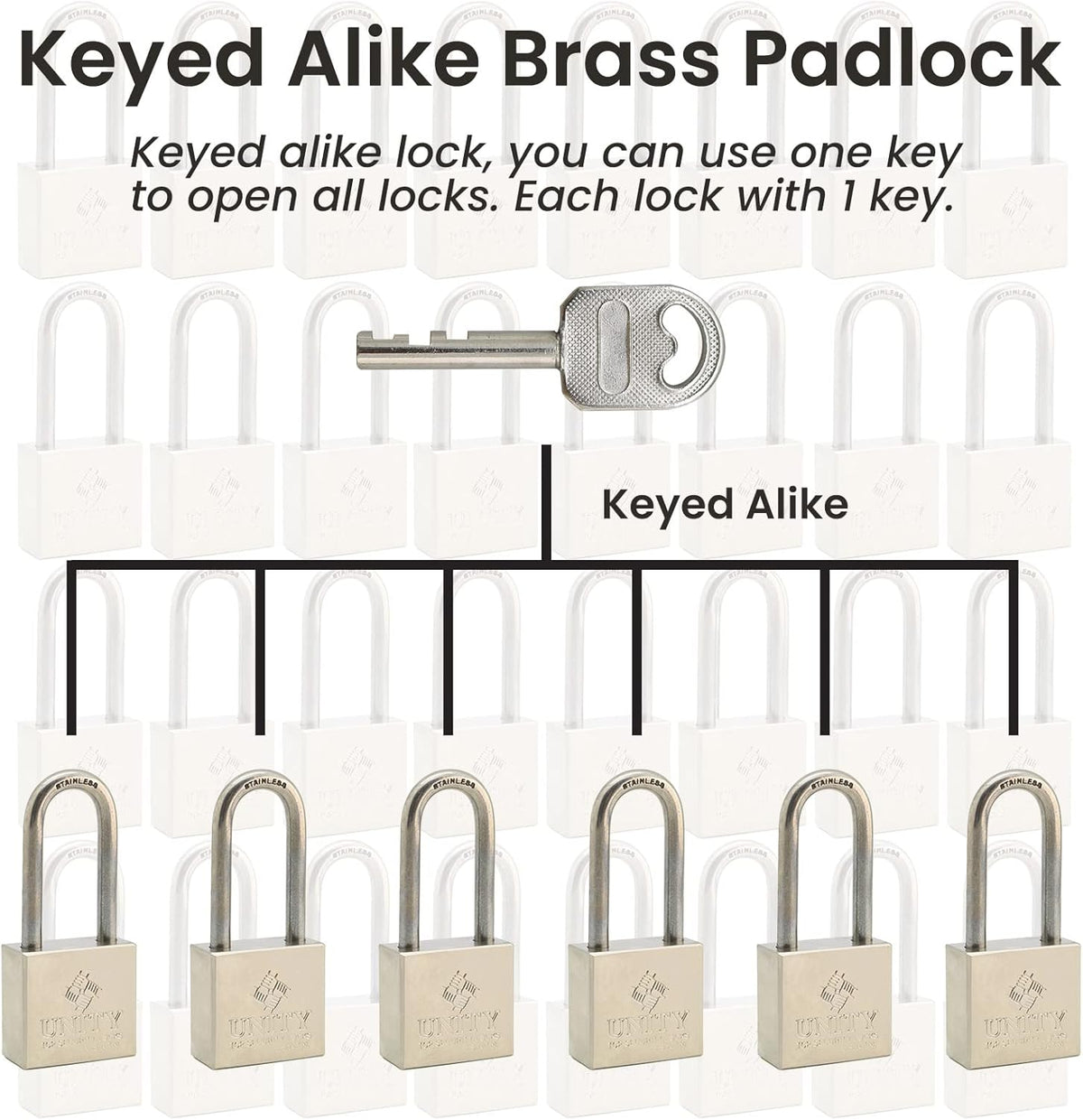 24 Pack Brass Keyed Alike Padlock with Long Shackle D3150