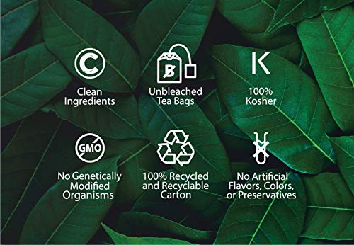 Organic Yerba Mate Tea, 18 Bleach-Free Tea Bag K225088