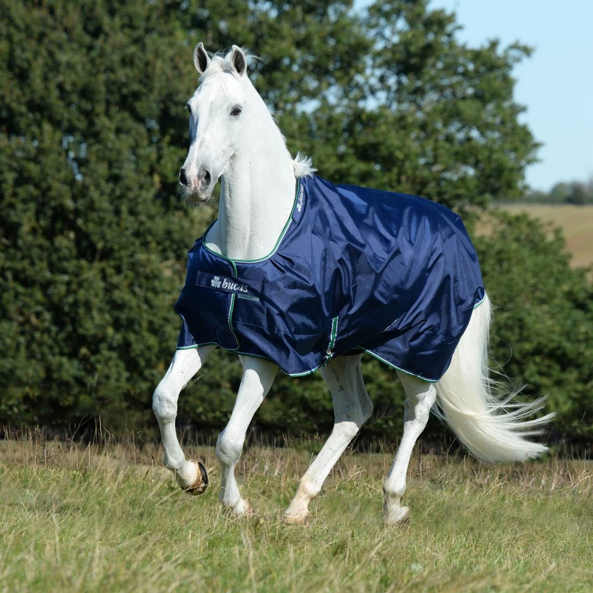 Smartex Medium Blue F269906