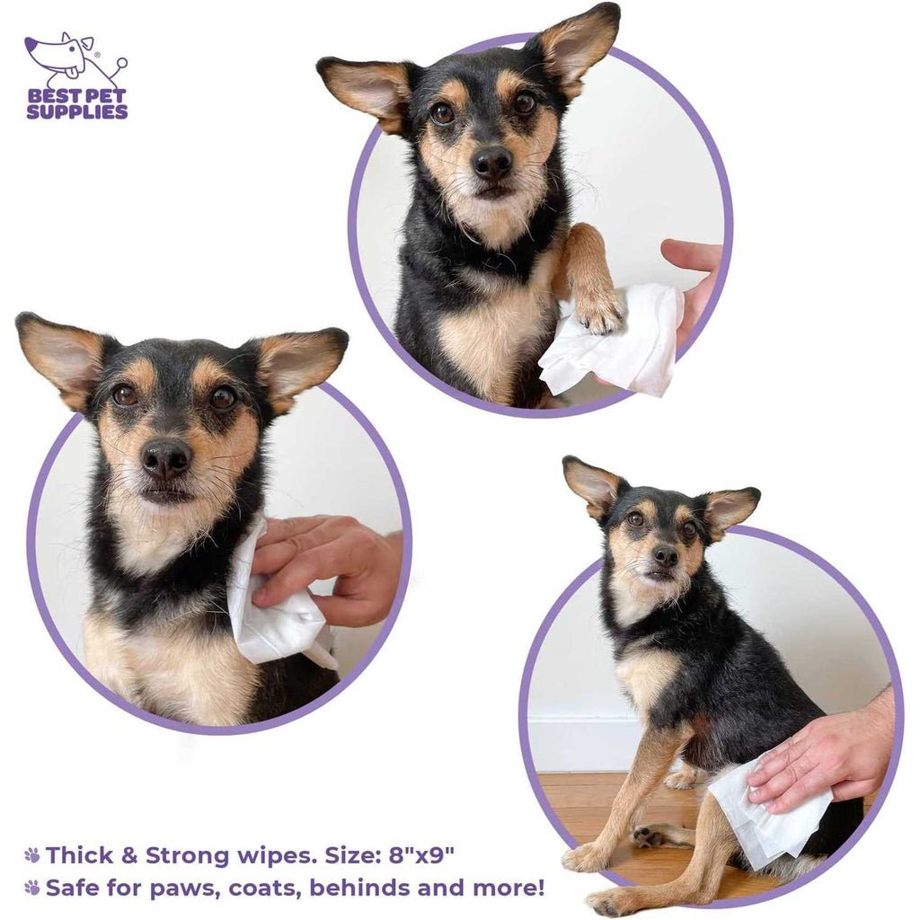 Pet Grooming Wipes for Dogs & Cats D751