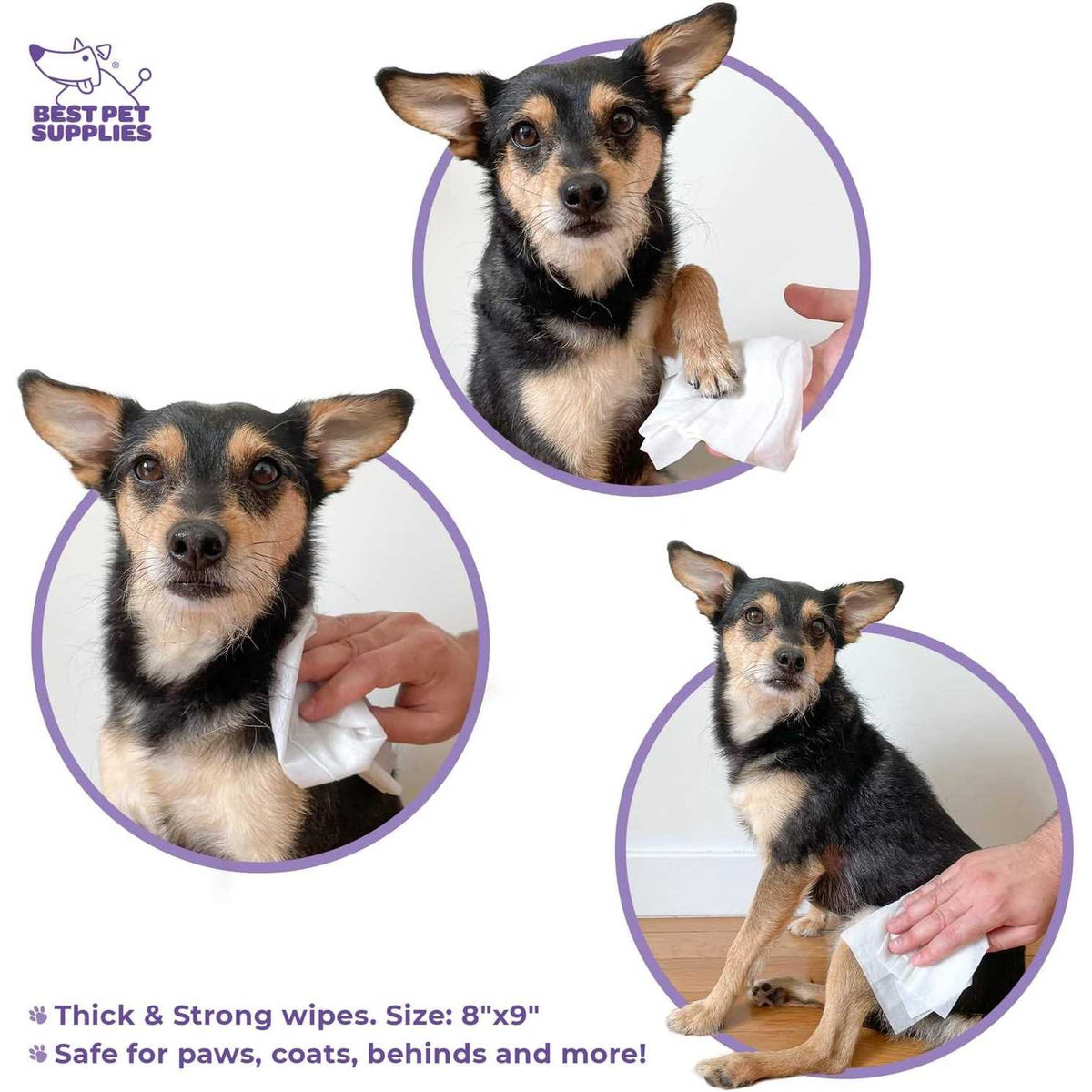 Pet Grooming Wipes for Dogs & Cats D751