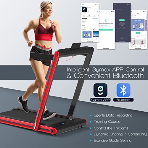 2 in 1 Folding Treadmill with LED Display N39159