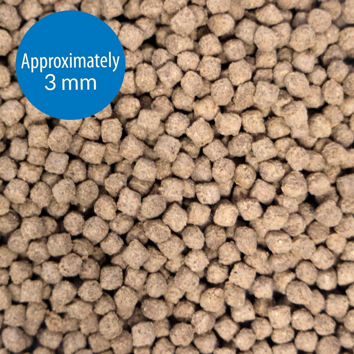Shrimp Pellets Fish Food R826770