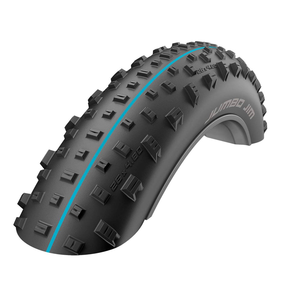 Tubeless Bike Tire M33306