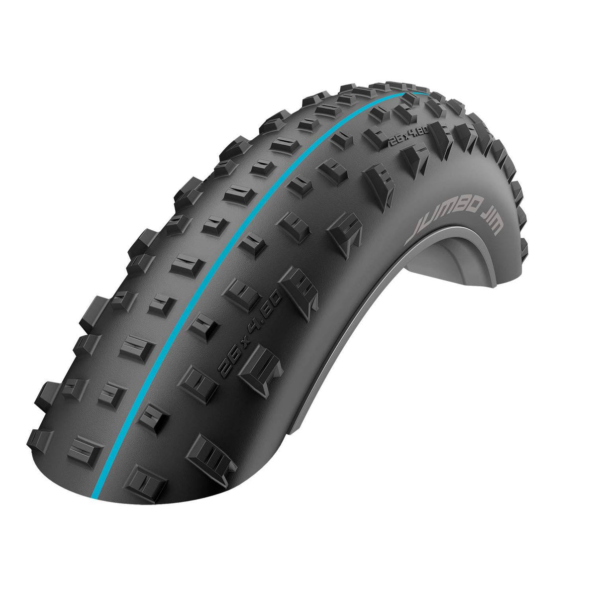 Tubeless Bike Tire M33306