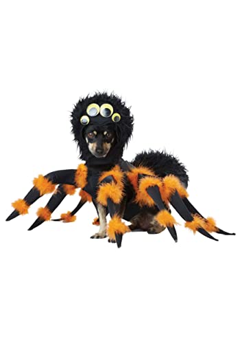 Dog Costume Large B360