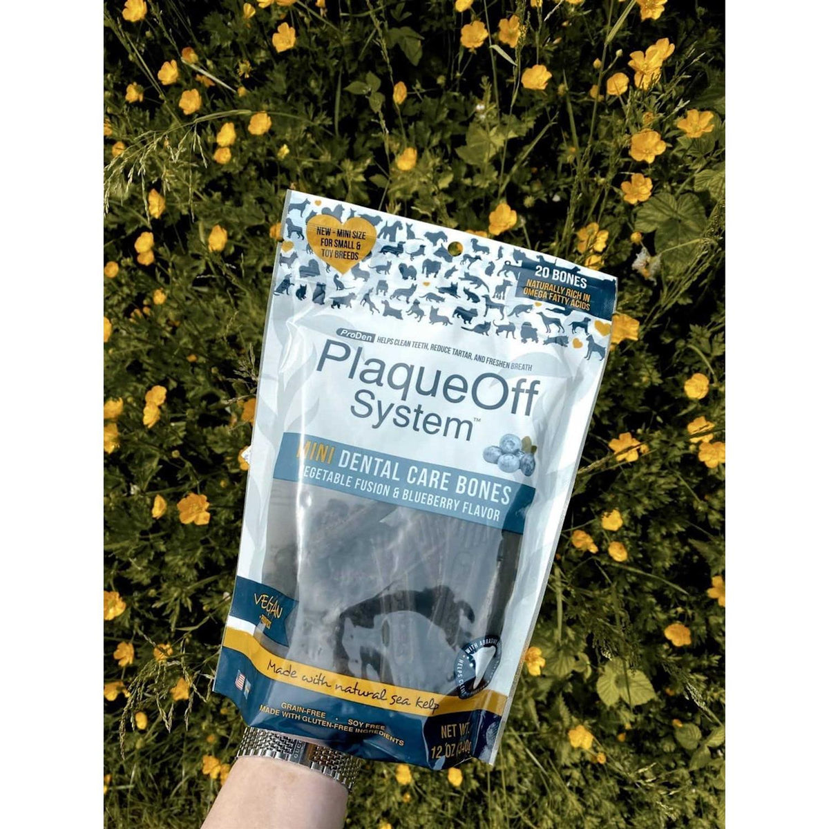 Mini Dental Bones Vegetable Fusion & Blueberry T95849