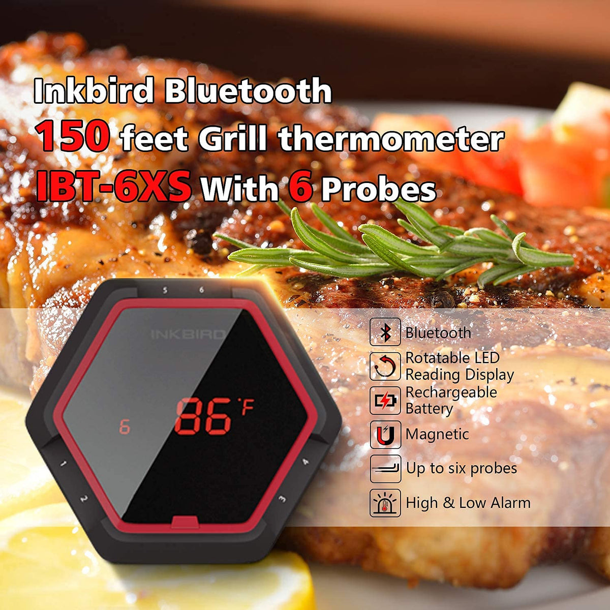 WiFi Meat Thermometer with 4 Probes & Hard Carrying Case N221656