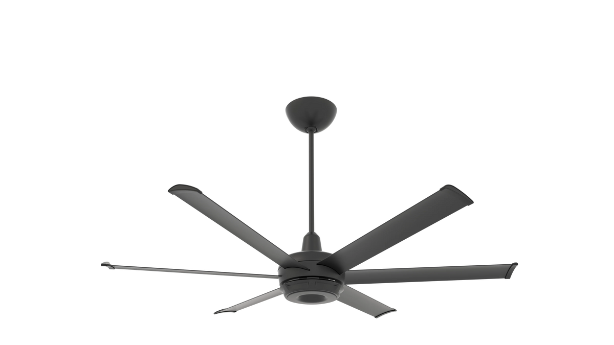 Black Ceiling Fan V930450