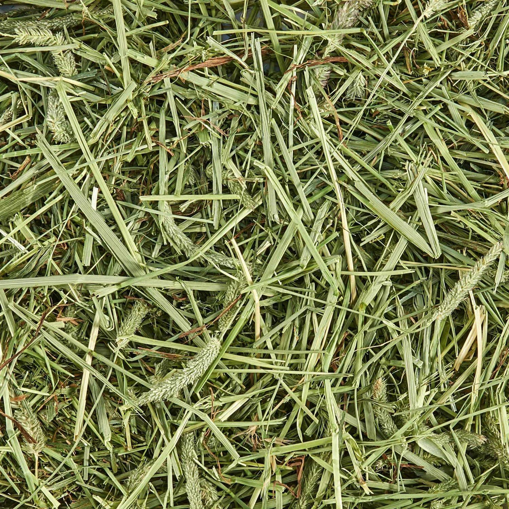 Timothy Hay for Small Animals Z141398