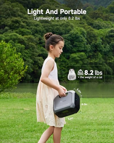 Portable Power Station 266Wh Battery 300W AC Output Solar Generator L319