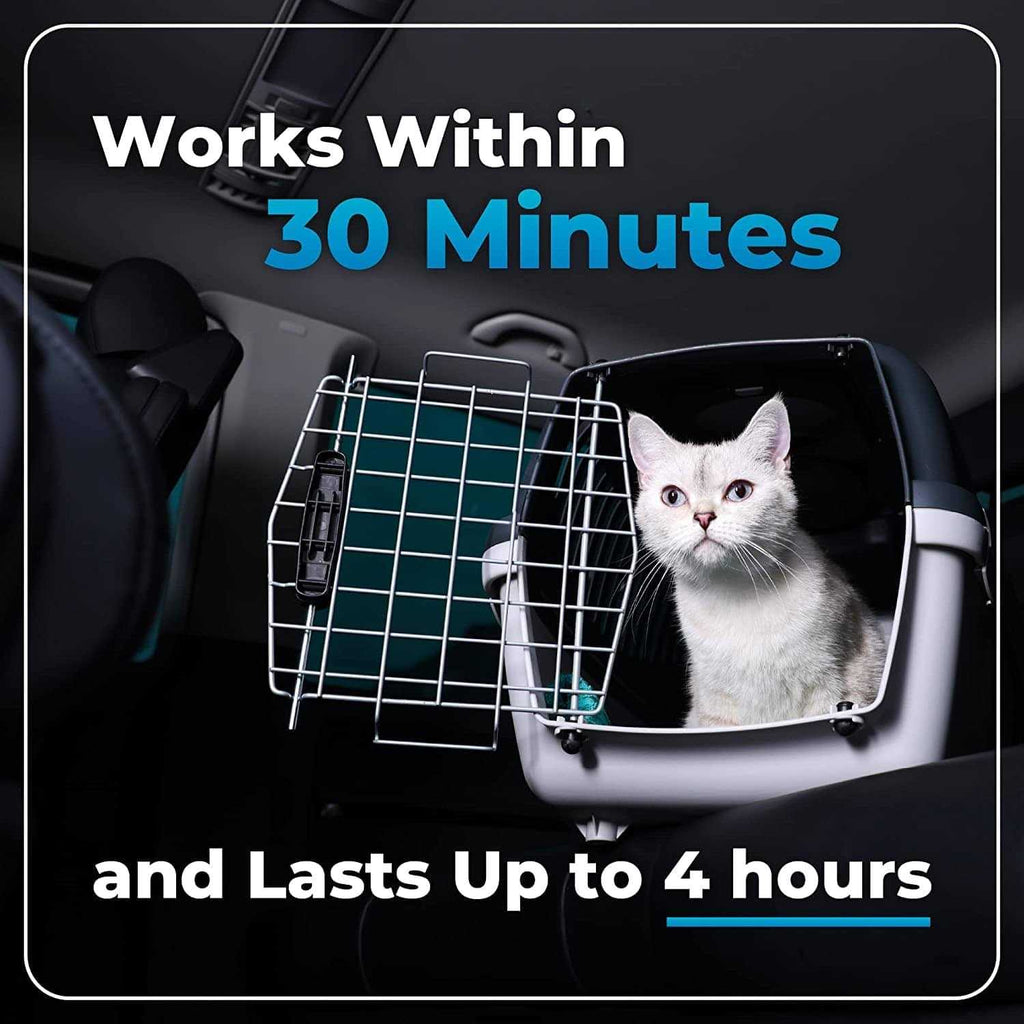 Cat Supplement U20202
