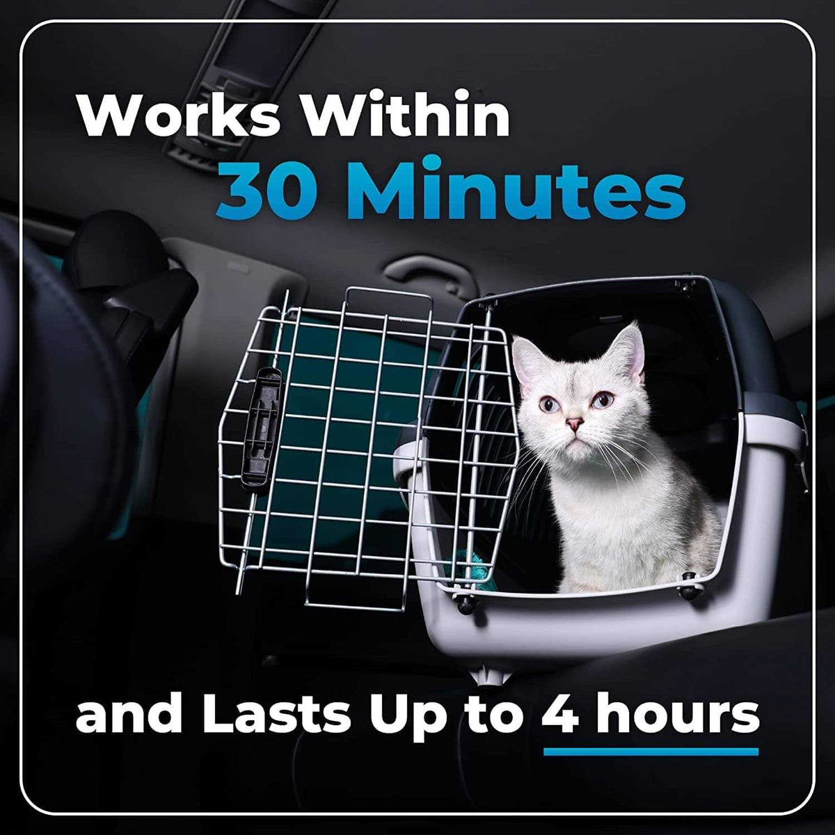 Cat Supplement U20202