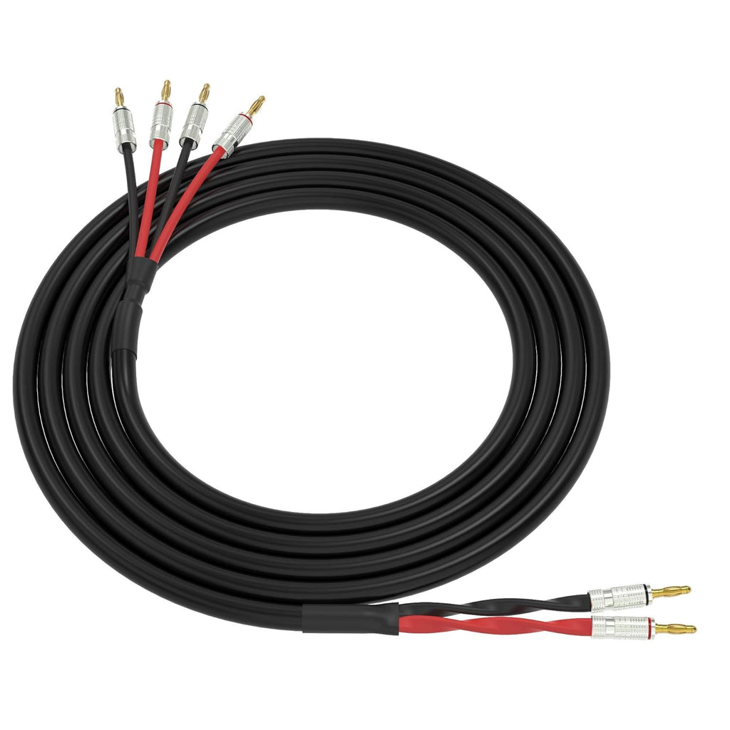 Black 3 Feet Speaker Cable with Gold Plated Banana Plugs E266