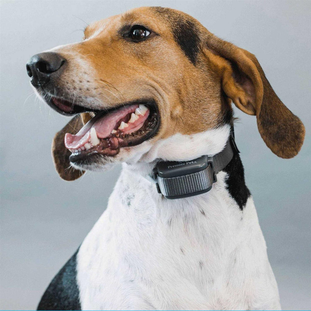 Pet Bark Collar M253150