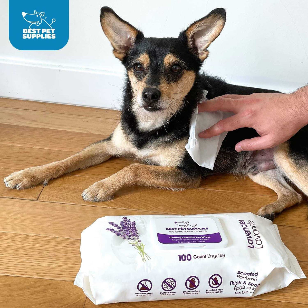 Pet Grooming Wipes for Dogs & Cats D751