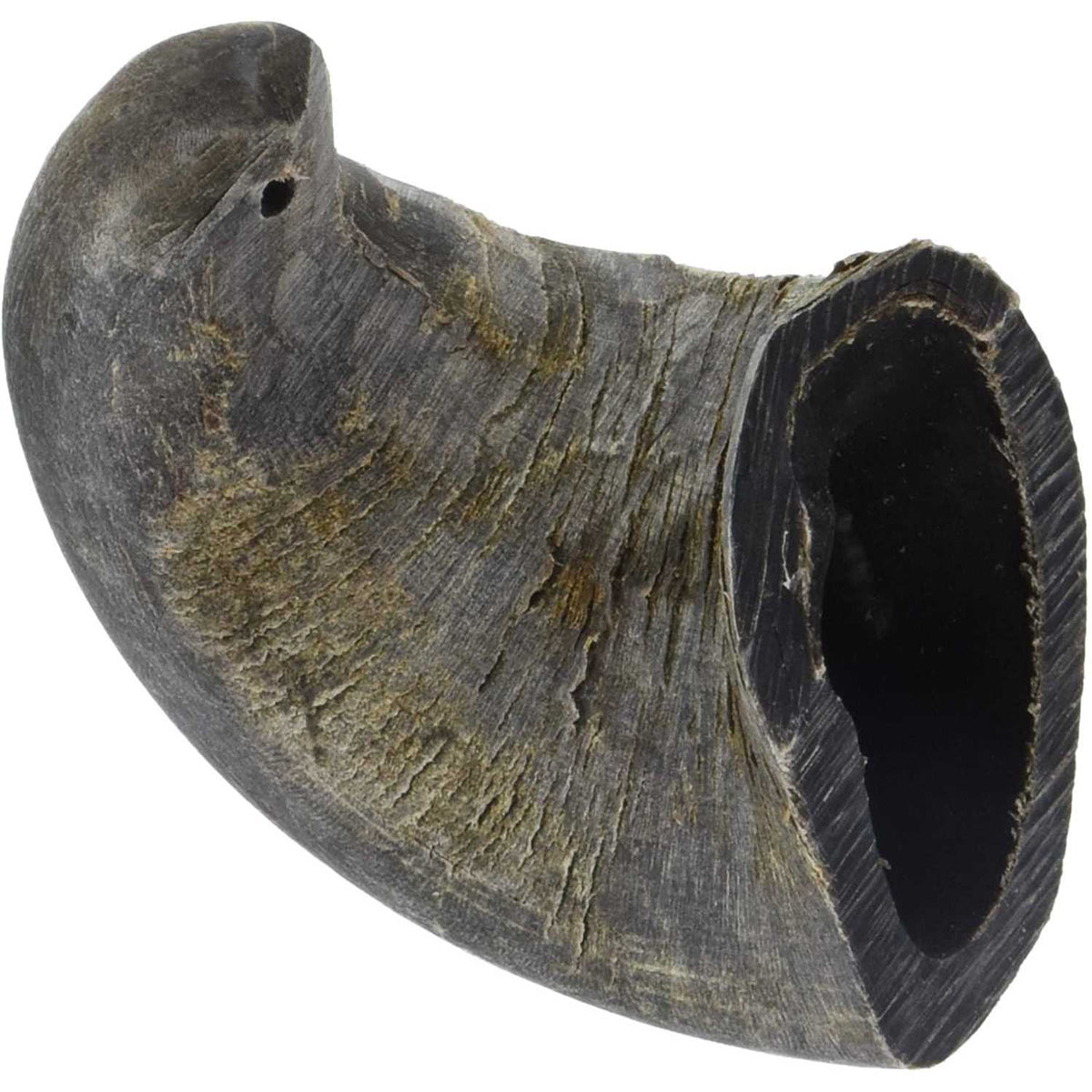 Dog Water Buffalo Horn Small Z3381