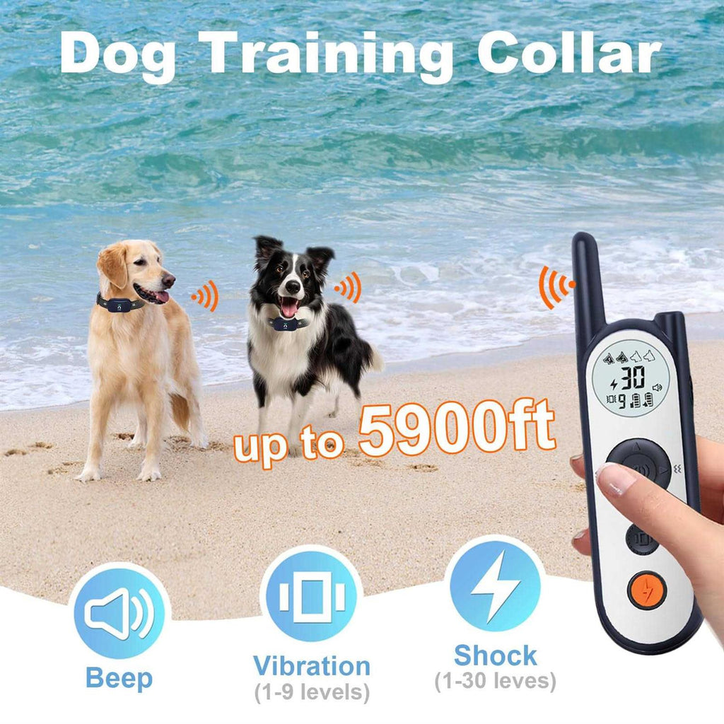 Wireless Dog Fence for 2 Dogs with Remote D9499