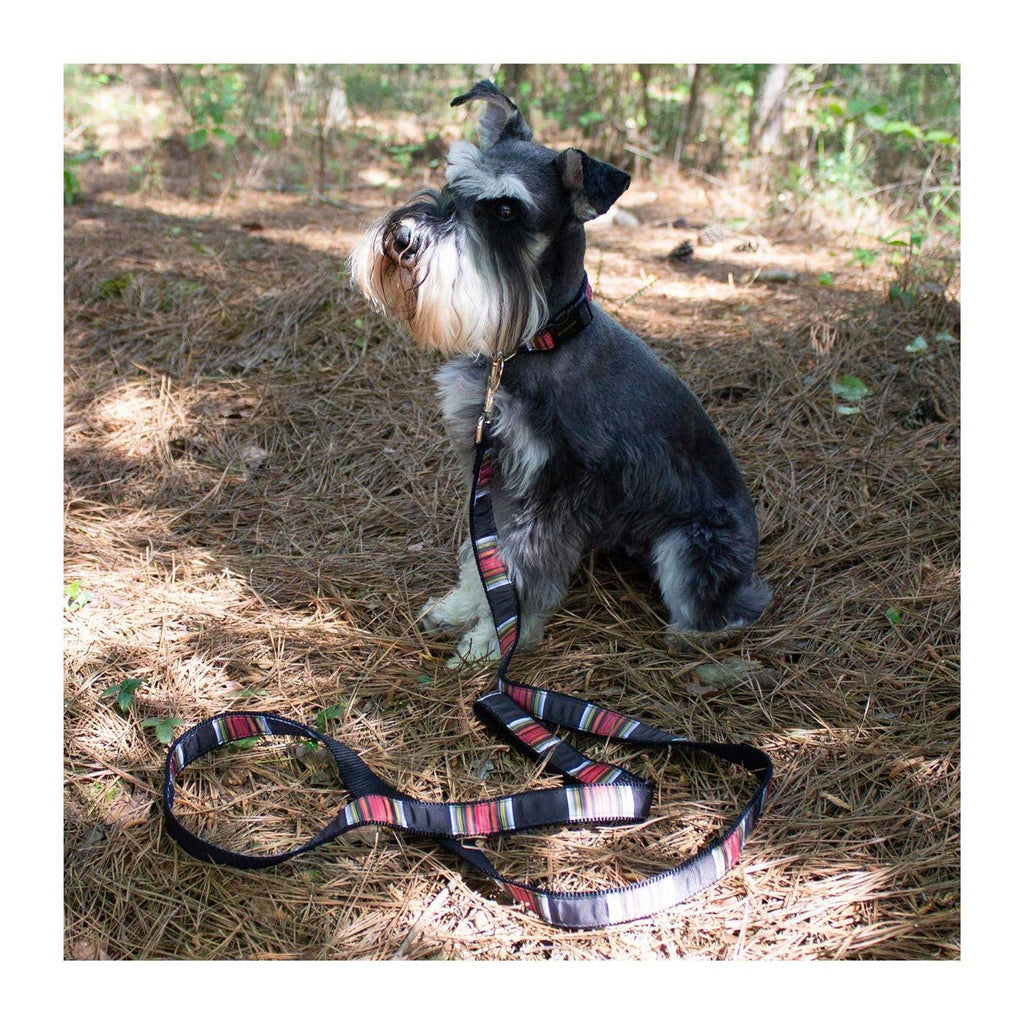 Dog Collar K9678