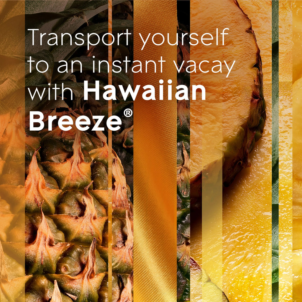 Hawaiian Breeze Air Freshener Starter Kit with Holder and Refill M3875