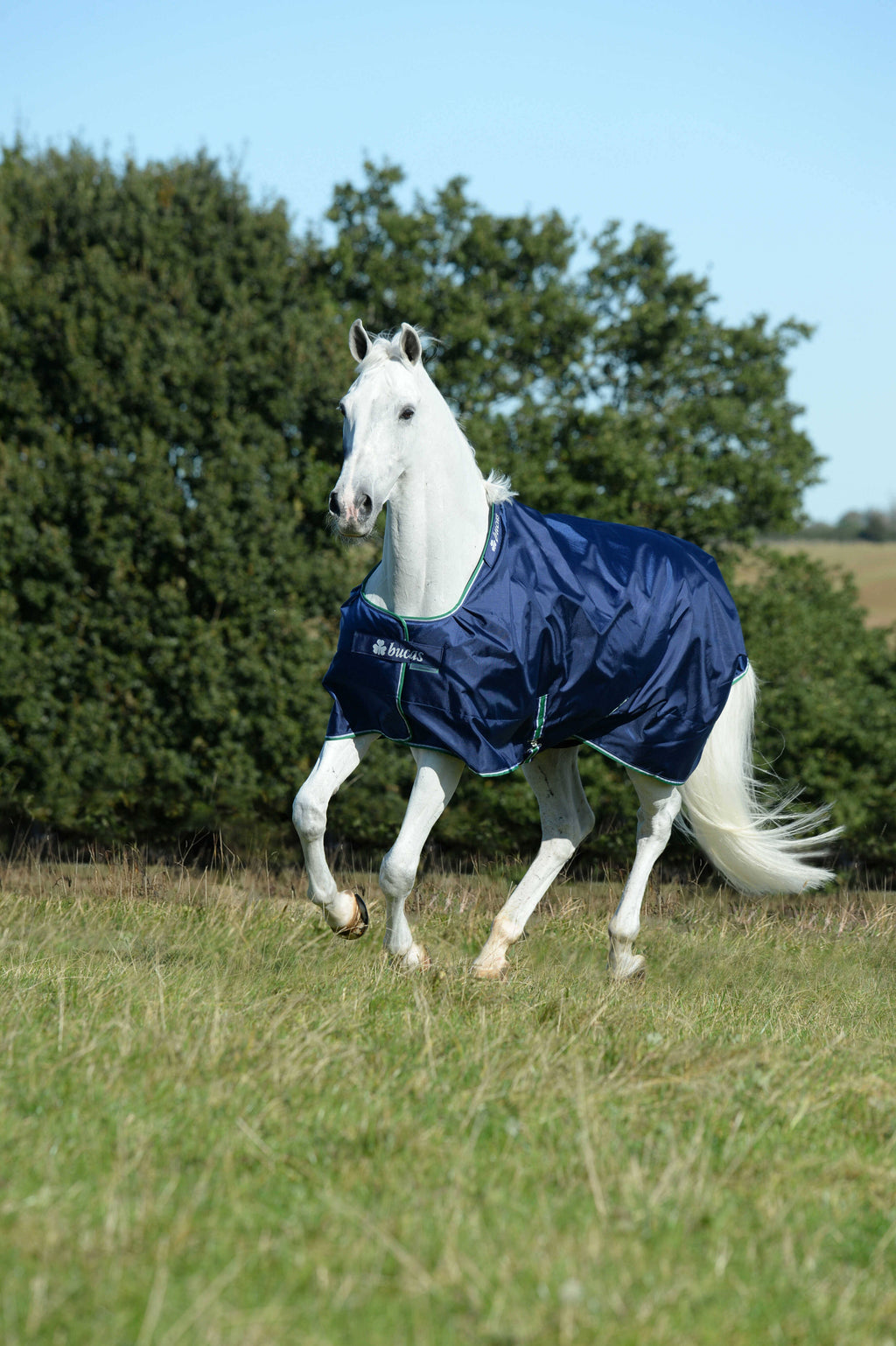Smartex Medium Blue F269906