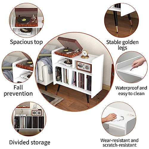 Black Vinyl Record Storage Cabinet A419