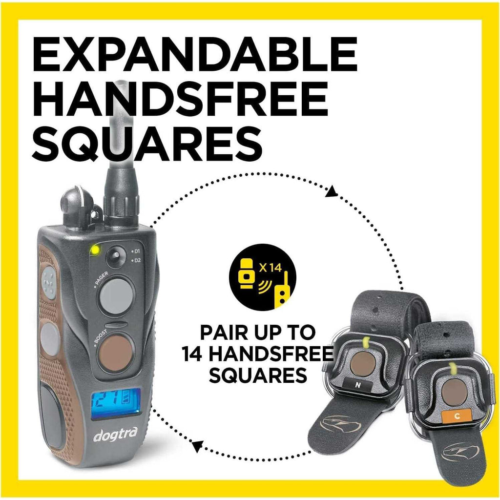 Dogtra ARC Handsfree Plus Boost & Lock D79619