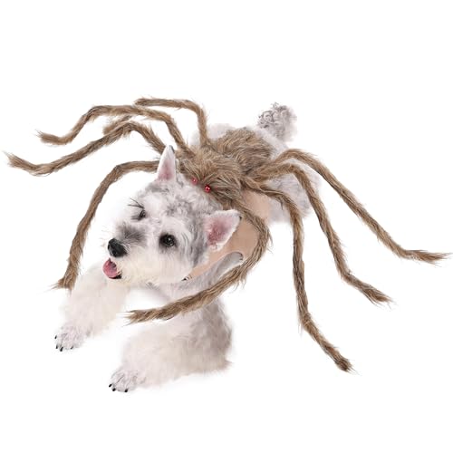 Large Black Dog Cat Costume with 8 Legs K4990