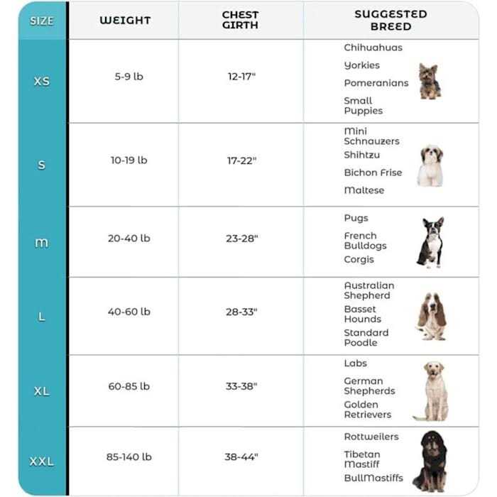 No Pull Easy On-Off Dog Harness H5864