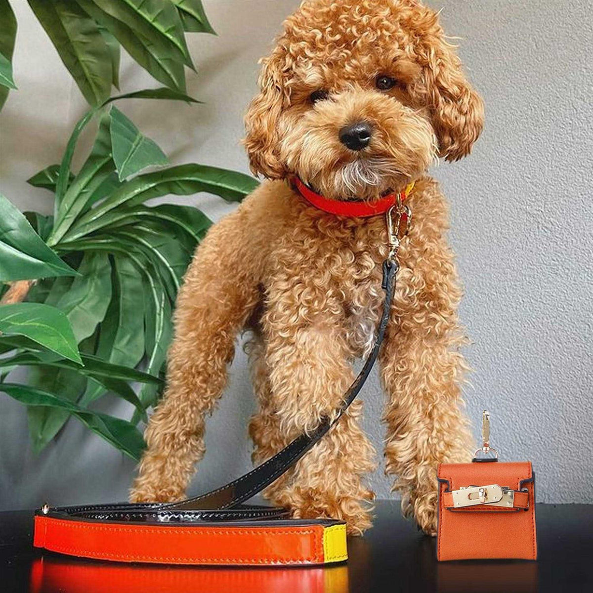 Poop Bag Dispenser S376