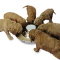 Stainless Steel Puppy Feeding Food and Water Bowls B76285