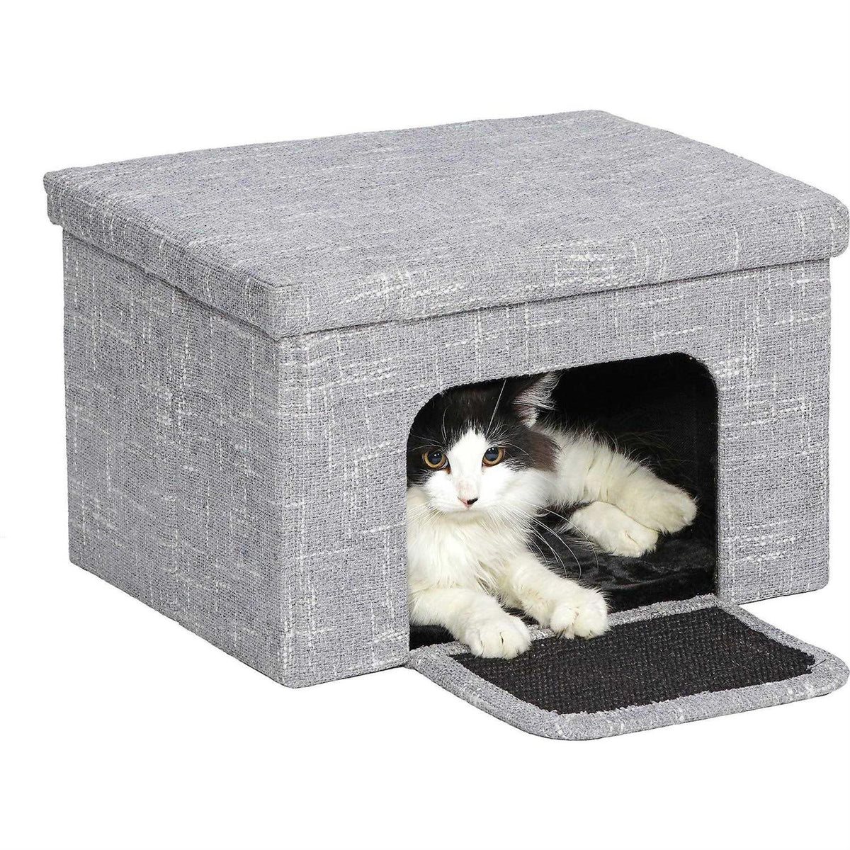 Curious Cat Cube W630158
